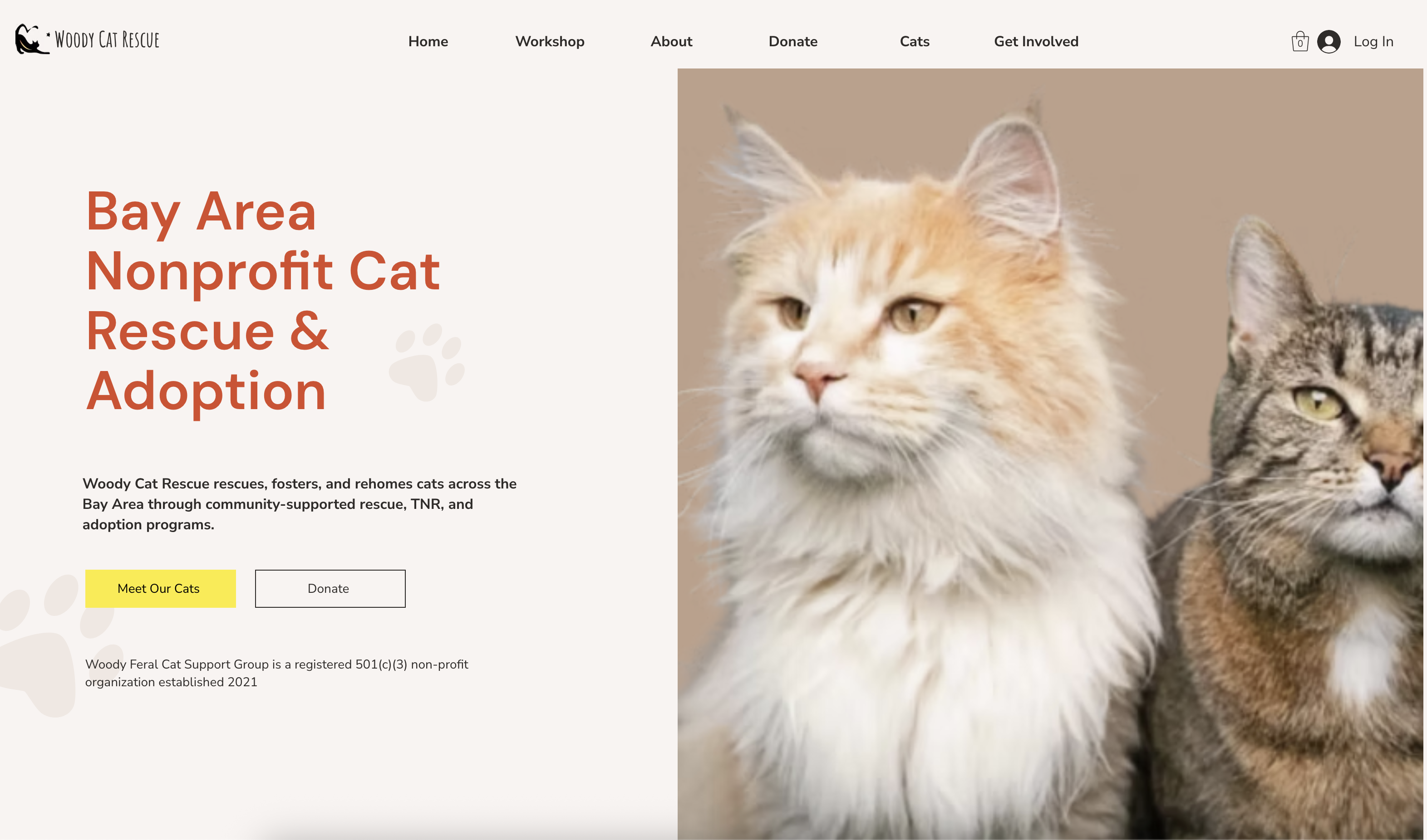 Woody Cat Rescue nonprofit website homepage preview